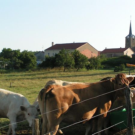 Chambres D'Hotes Au Presbytere Racrange Экстерьер фото