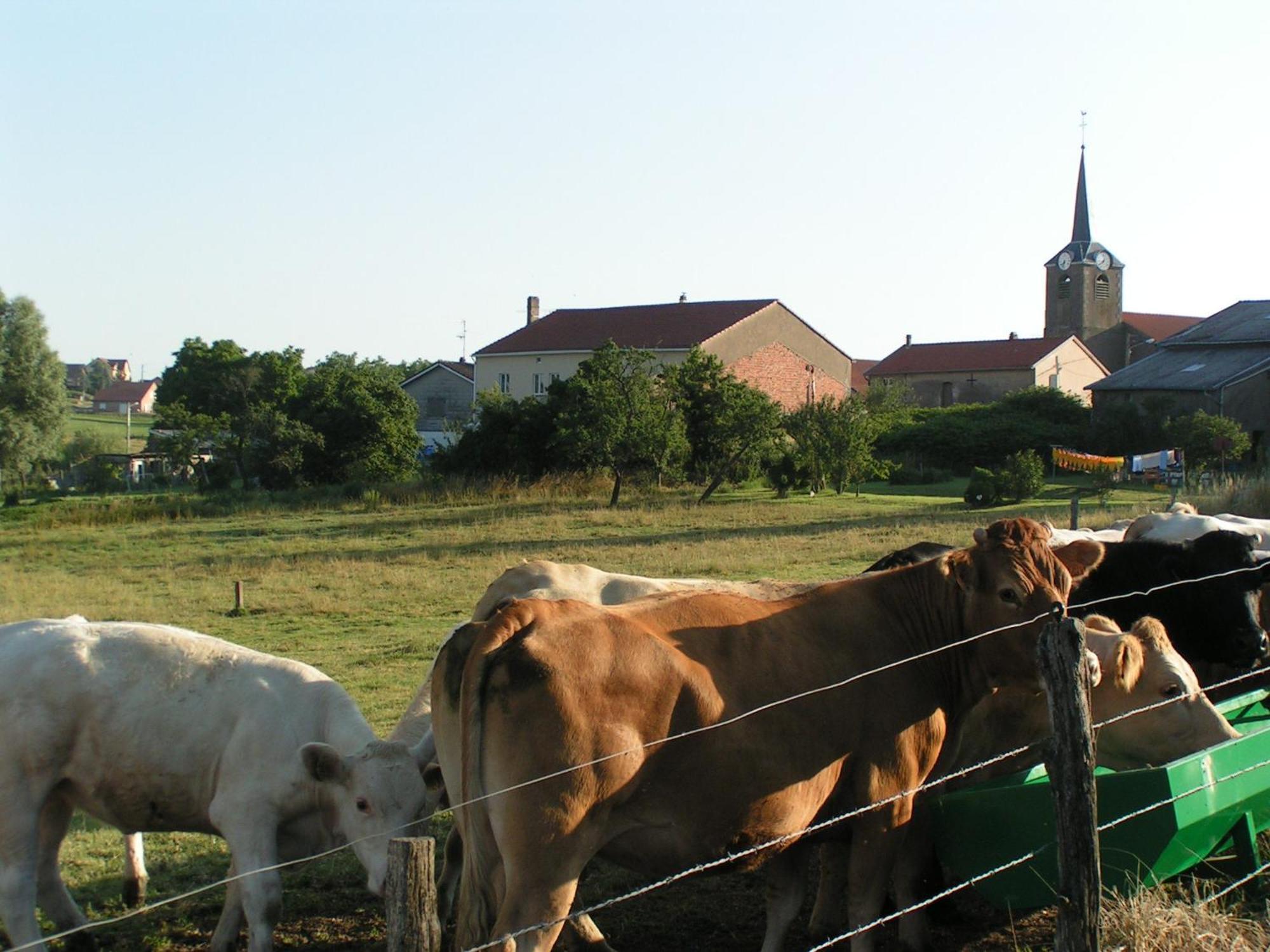 Chambres D'Hotes Au Presbytere Racrange Экстерьер фото